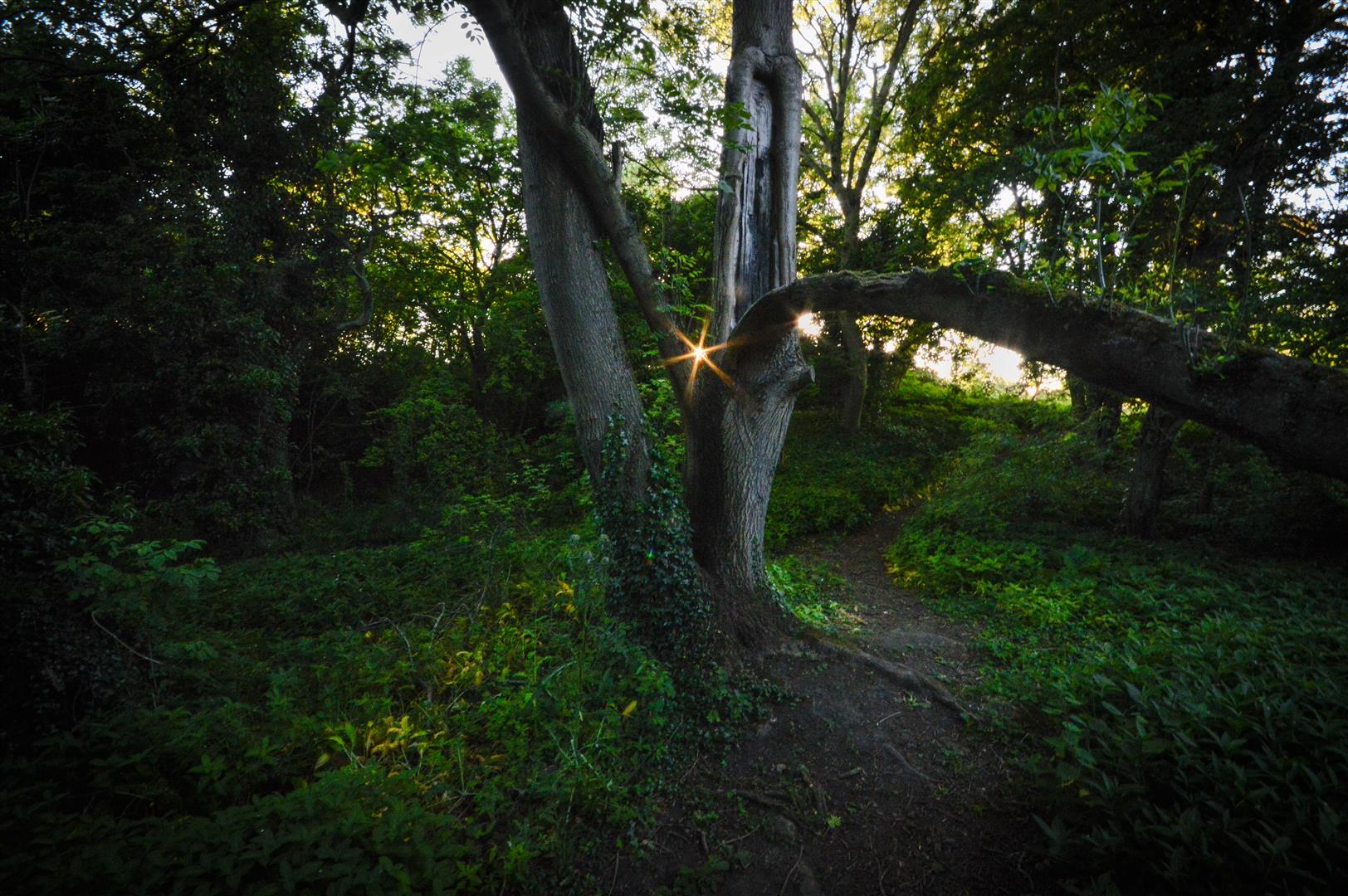 photo competion 2015 - stephen b